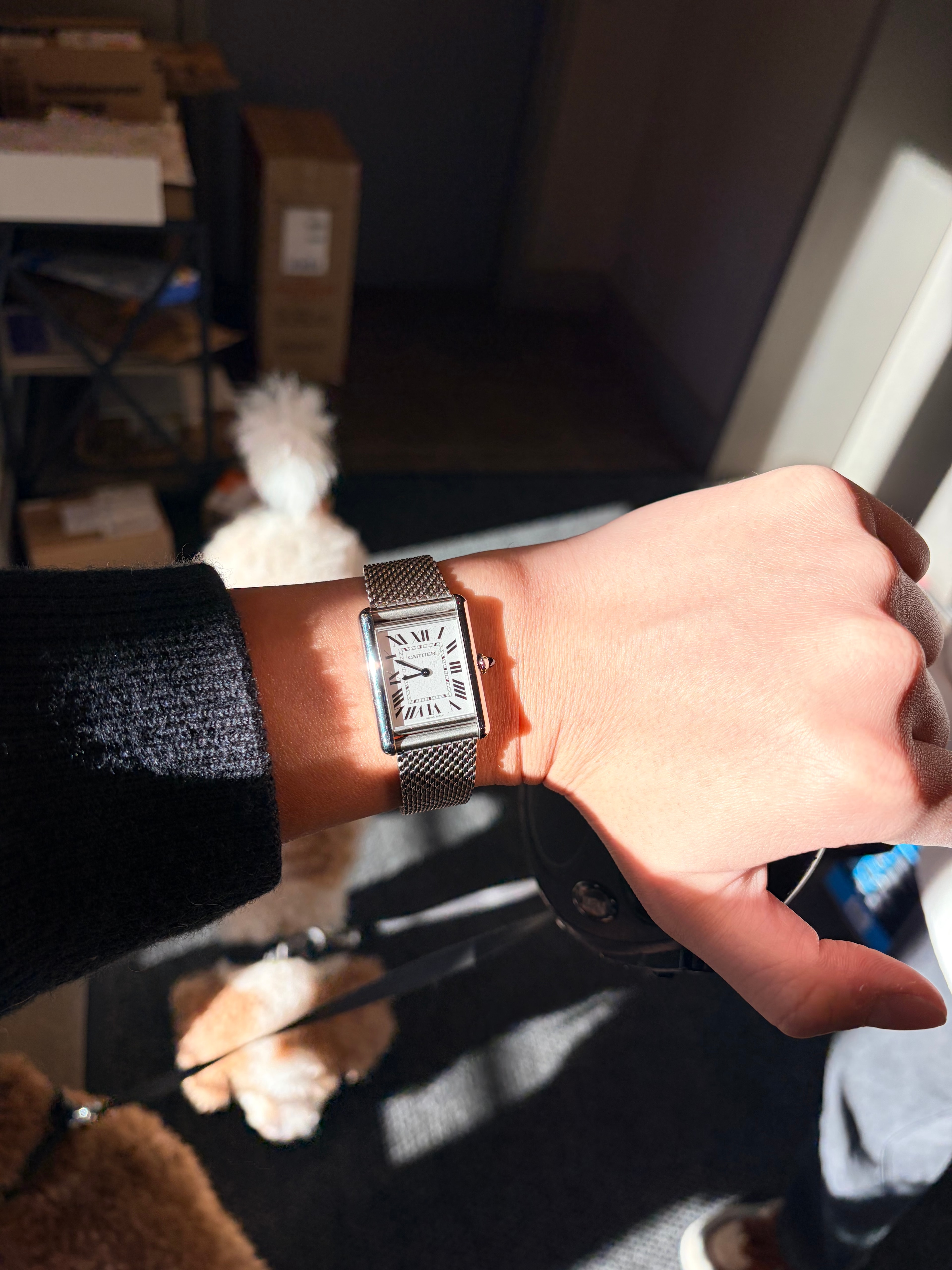 Cartier Tank Must